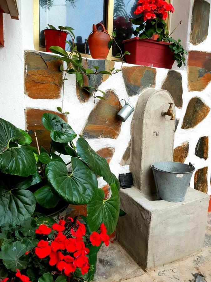 Vivienda Vacacional Ca Na Paula La Orotava Exteriör bild