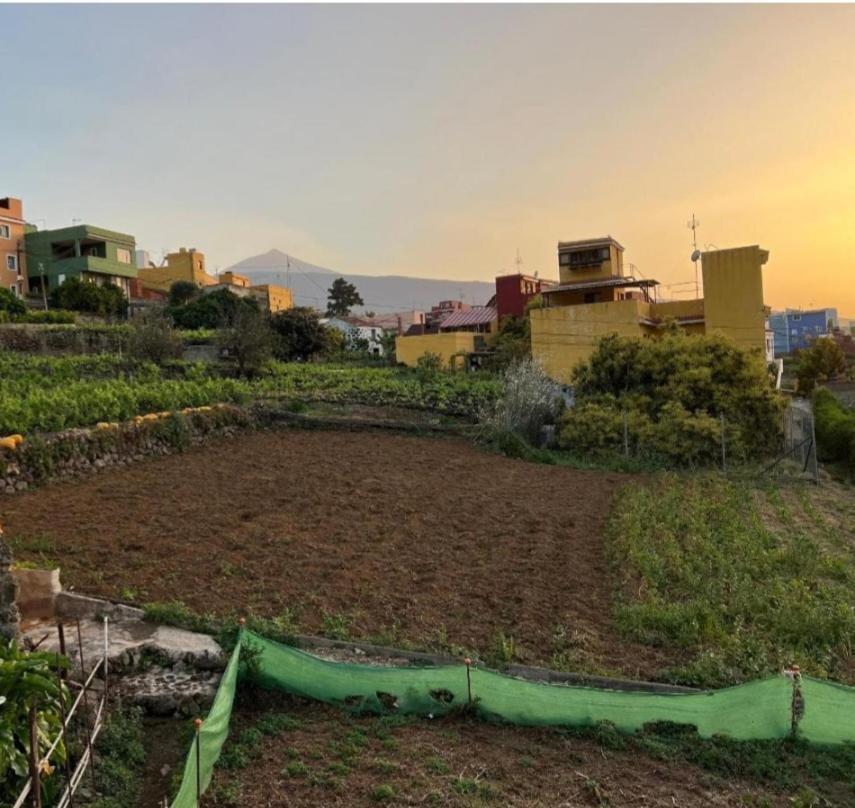 Vivienda Vacacional Ca Na Paula La Orotava Exteriör bild