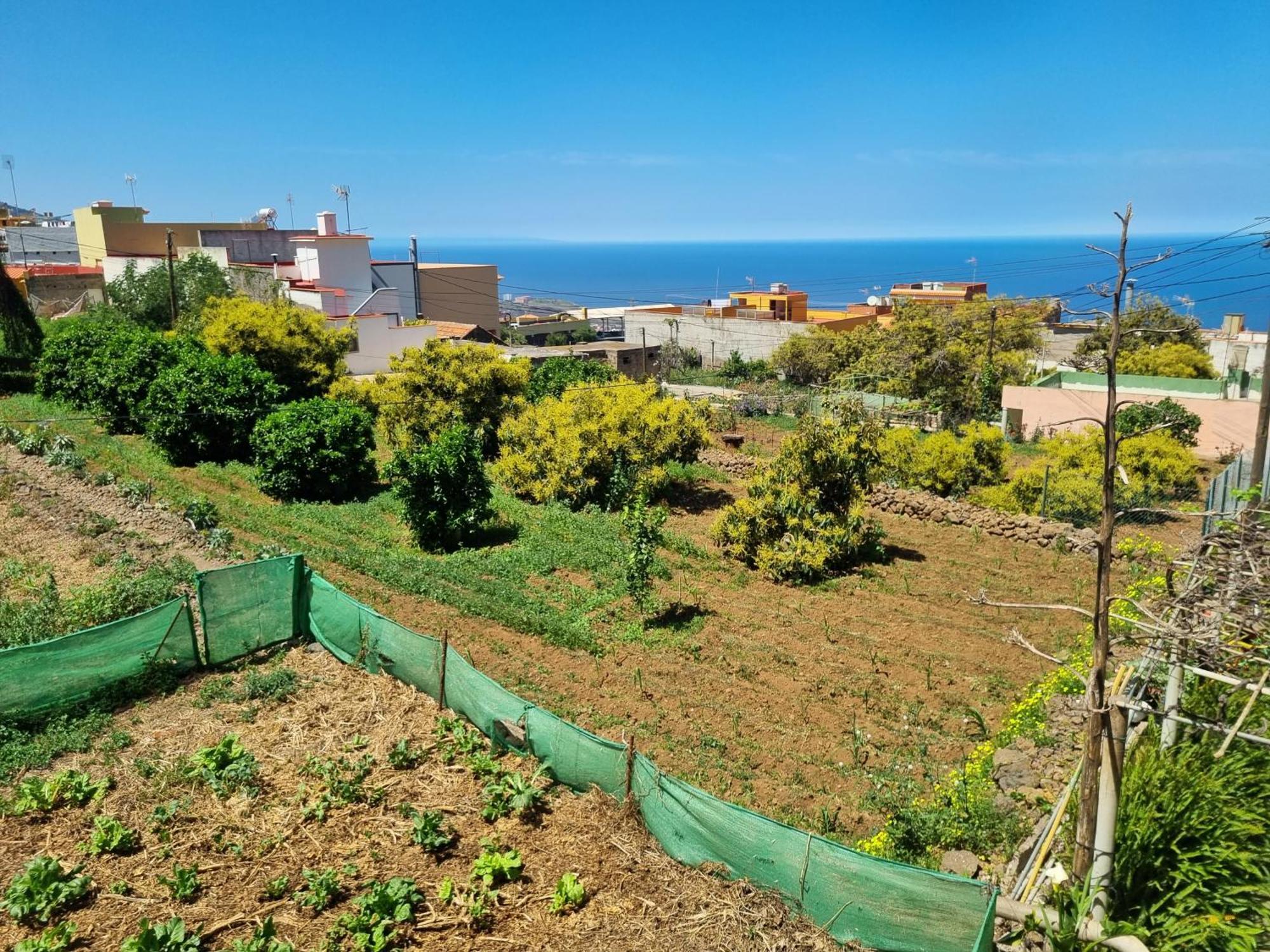 Vivienda Vacacional Ca Na Paula La Orotava Exteriör bild