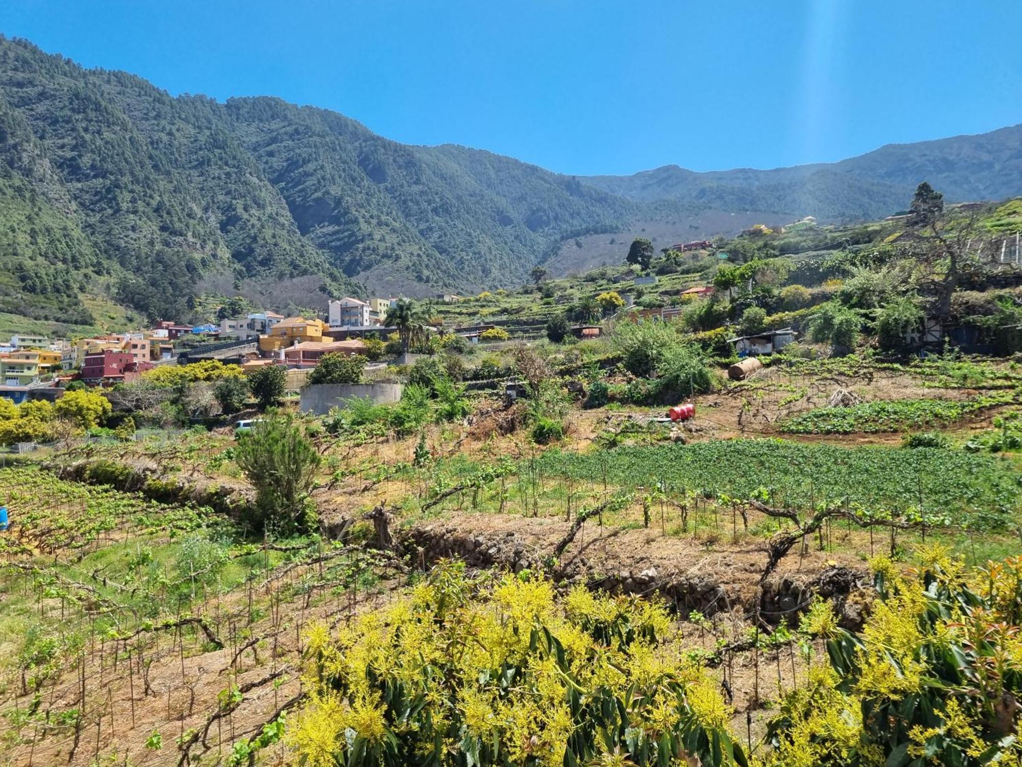 Vivienda Vacacional Ca Na Paula La Orotava Exteriör bild